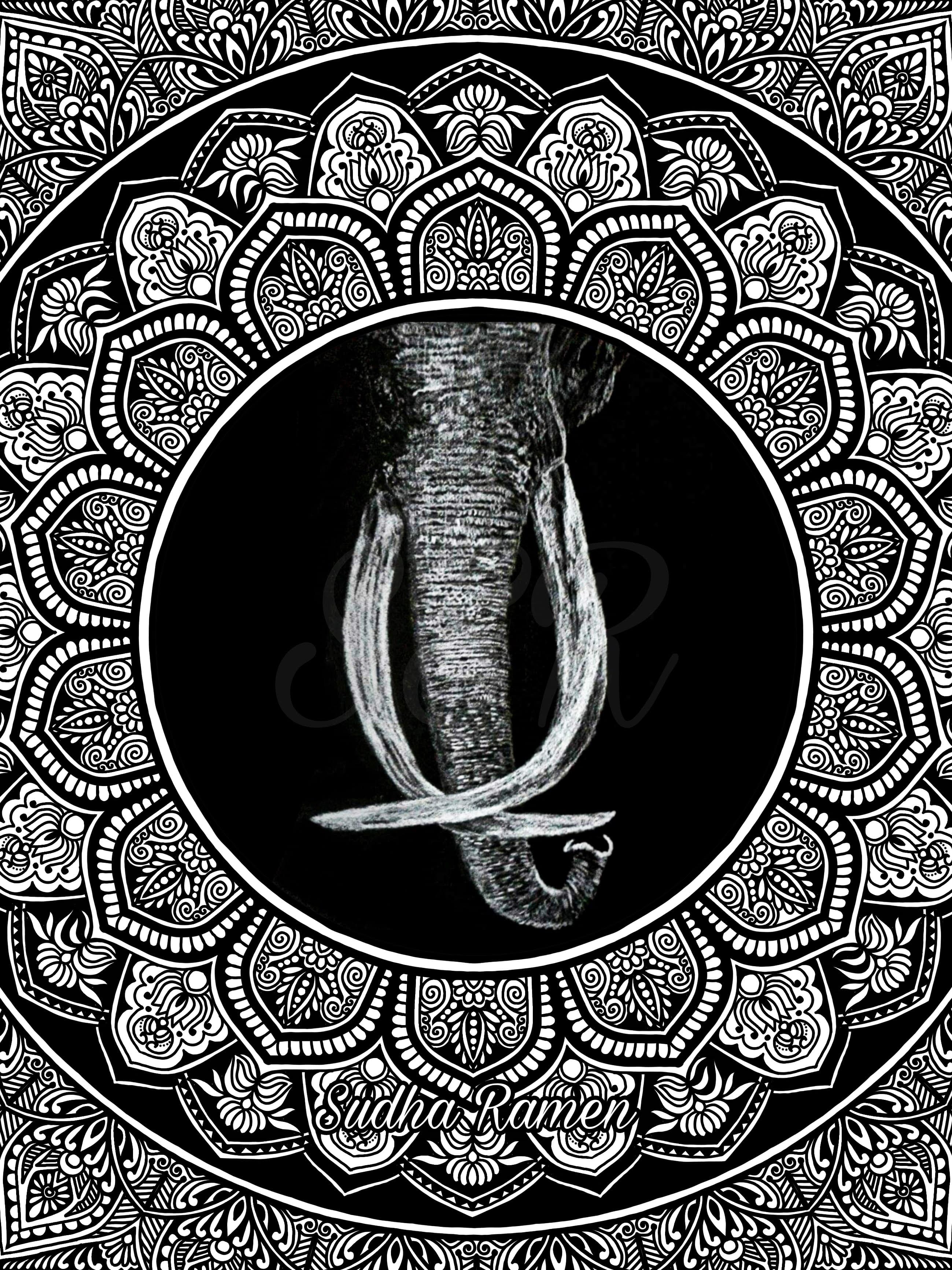 Nature & Forests artwork