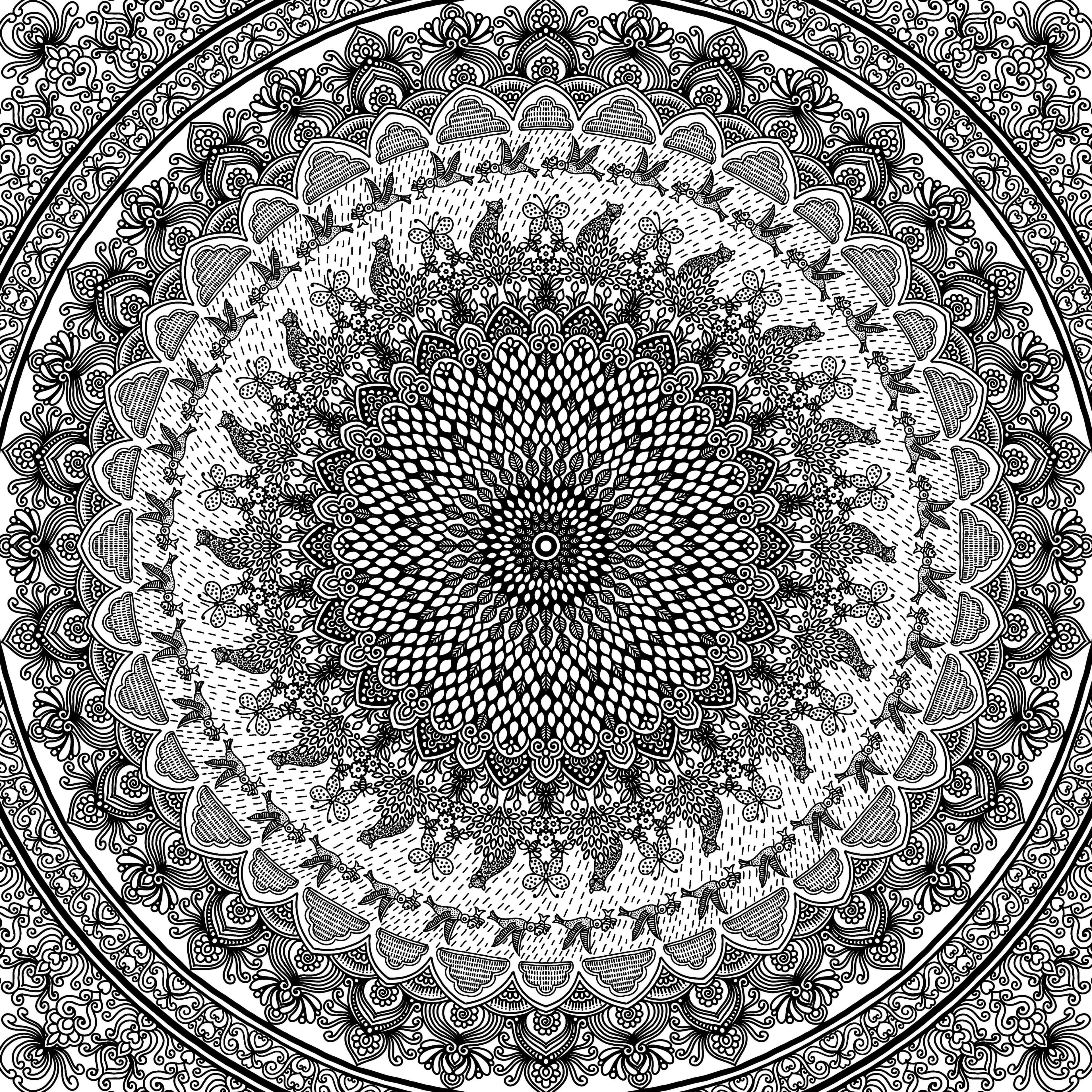 Nature & Forests artwork