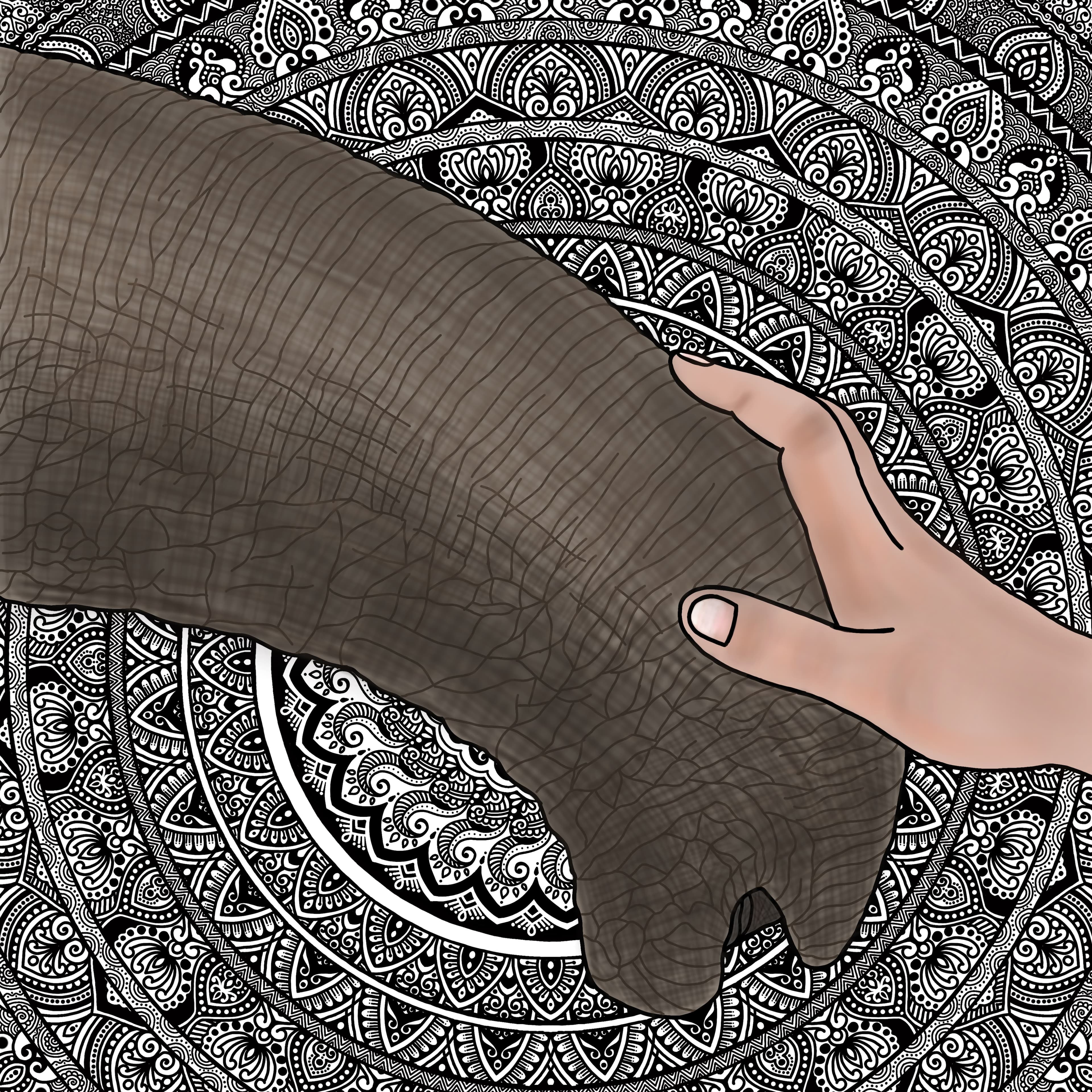 Nature & Forests artwork