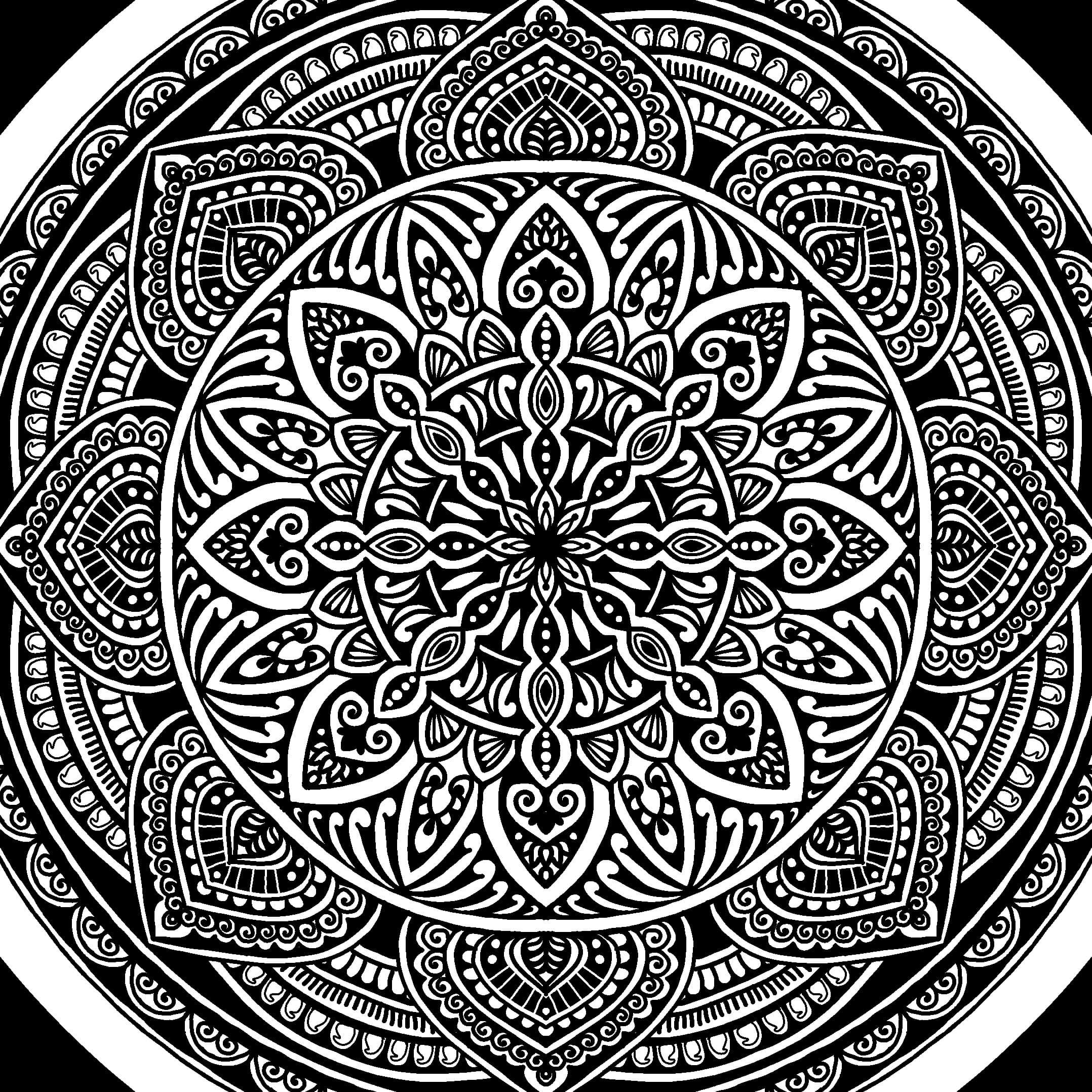 Kolam Fusion artwork