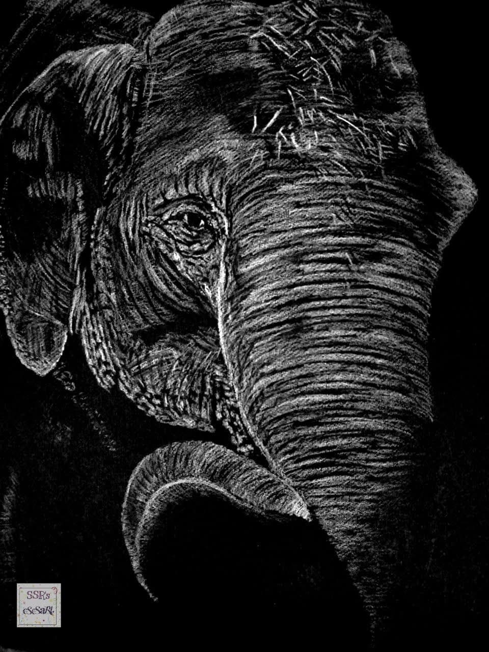 Pen & Pastels artwork